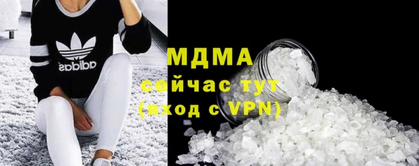 индика Лабытнанги