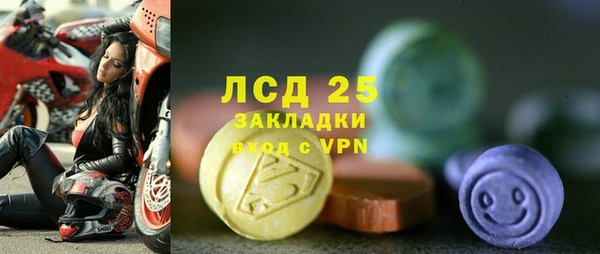 сатива Лагань