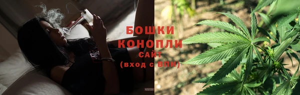 индика Лабытнанги