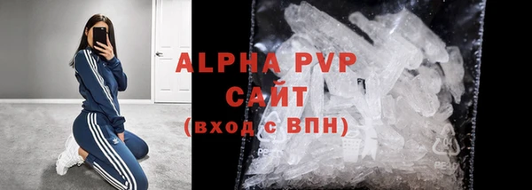 индика Лабытнанги