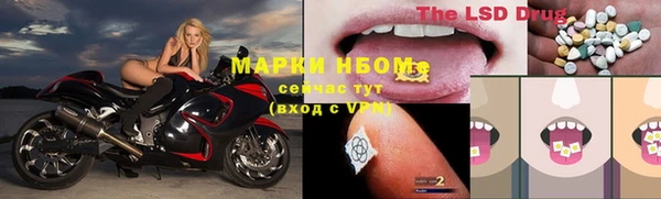 индика Лабытнанги