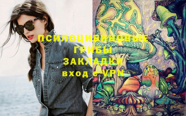 индика Лабытнанги