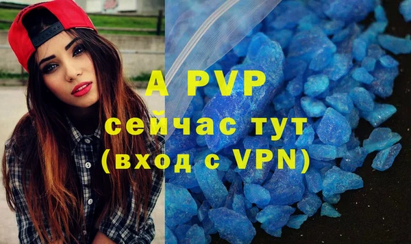 индика Лабытнанги