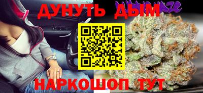 шишки Камышлов