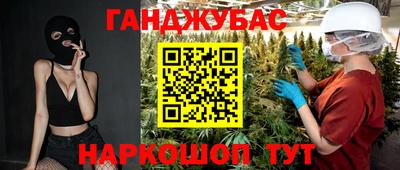 шишки Камышлов