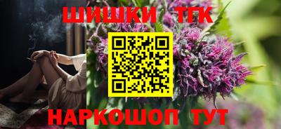 шишки Камышлов