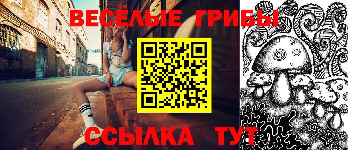 Галлюциногенные грибы Psilocybe  Псилоцибиновые грибы Psilocybine cubensis  Электросталь  Вход с VPN 
